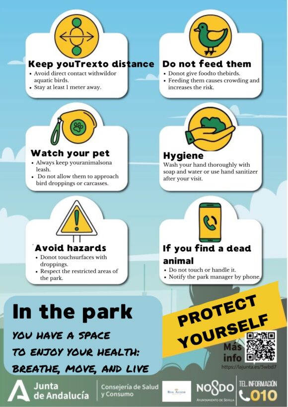 Medidas de protección gripe aviar inglés.pdf Reapertura de los jardines del Real Alcázar tras el cierre preventivo