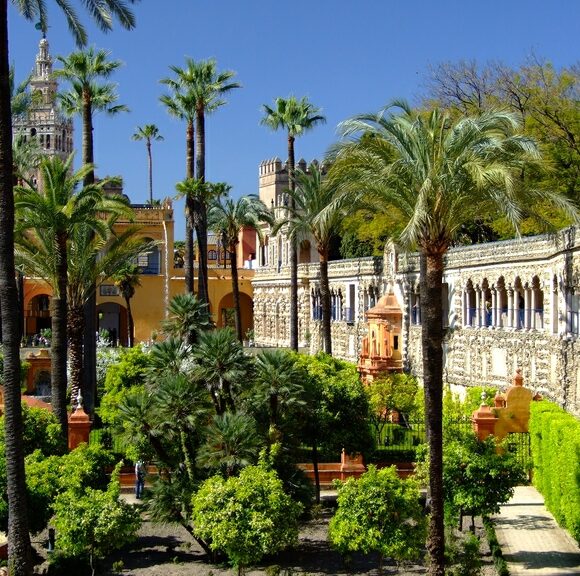 El Ayuntamiento cierra de forma preventiva los jardines del Alcázar y el parque de Miraflores al aparecer ánades muertos